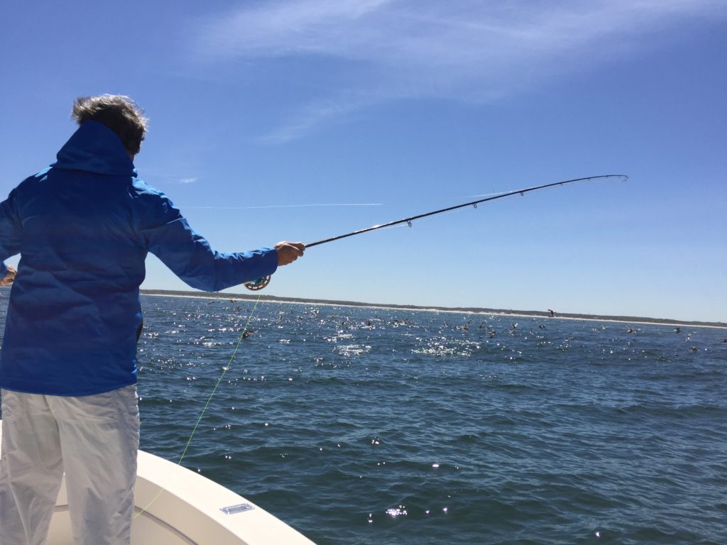 Wind:  Over the shoulder picture of a man fly casting on a windy day