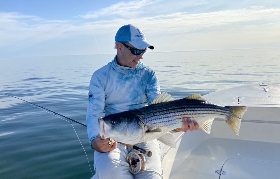 cape cod striper — Fishing Journal Fly Fishing Blog — Tall Tails Fly Fishing