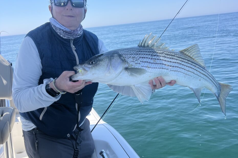 Capt Avery holding a striper on Another Busman's Holiday